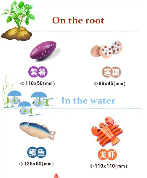 Hölzerne Vorstellungsküche Kinder Spaà Spielzeug Holz Schneiden Obst Gemüse Magnet Spielzeug Bunte pädagogische Lebensmittel Spielzeug für Kinder-A11-8131Z8 Hölzerne Vorstellungsküche Kinder Spaß Spielzeug Holz Schneiden Obst Gemüse Magnet Spielzeug Bunte pädagogische Lebensmittel Spielzeug für Kinder-A11-8131Z8